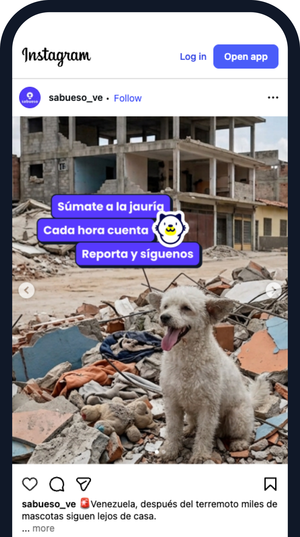 Sabueso en redes: perro rescatado tras el terremoto en Venezuela