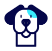 Perro
