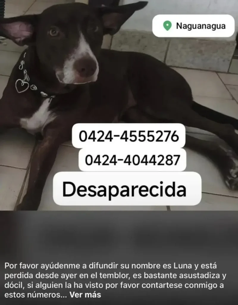 Luna