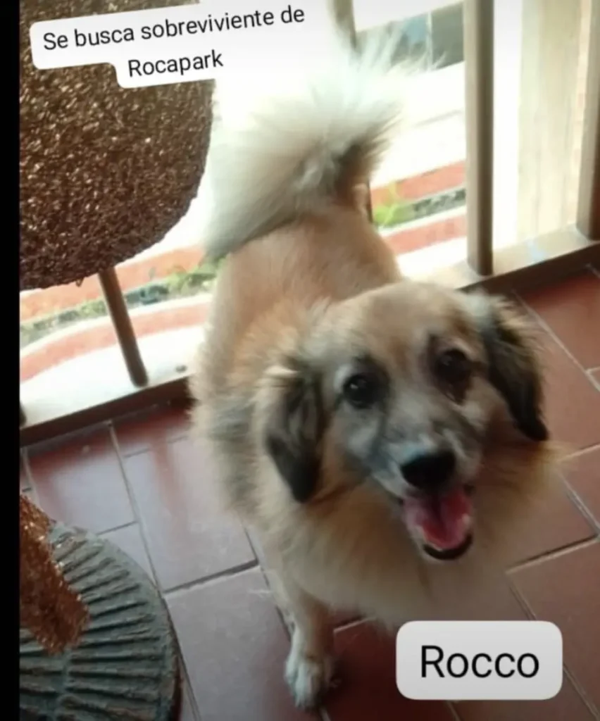 Rocco