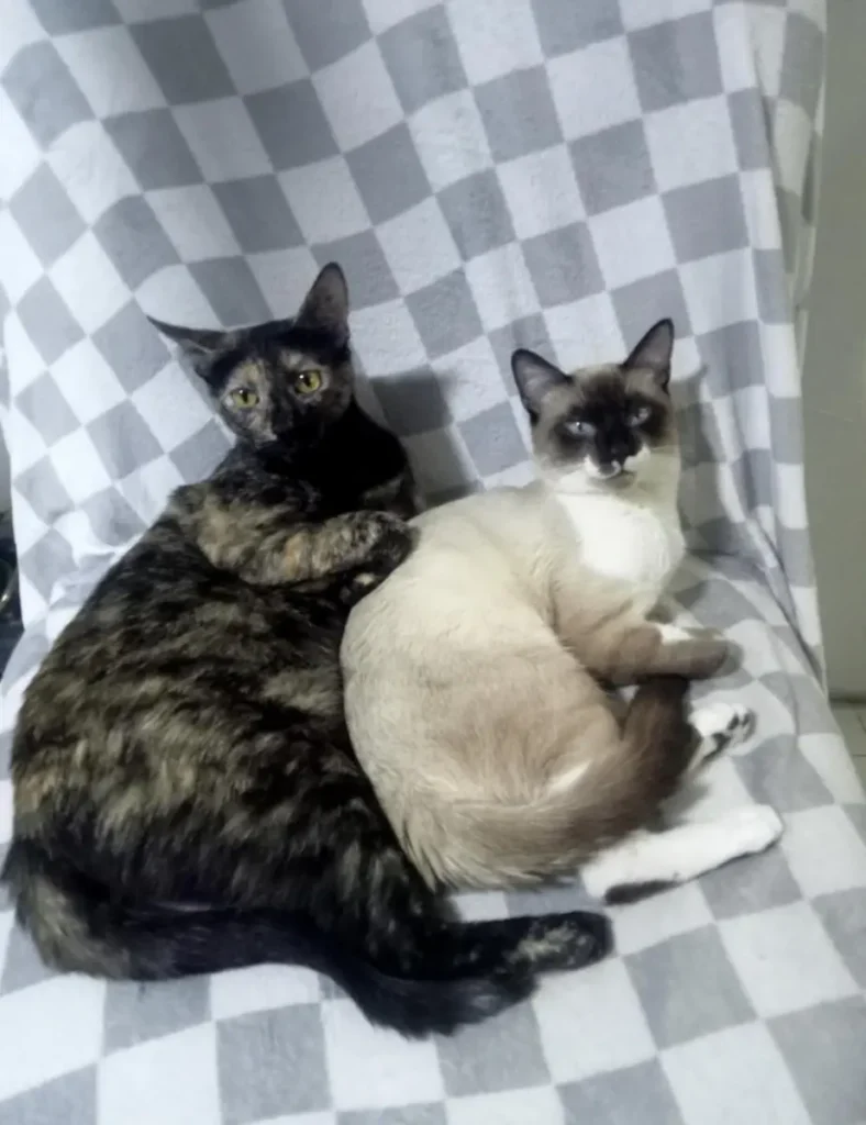 Pellie y Siquito