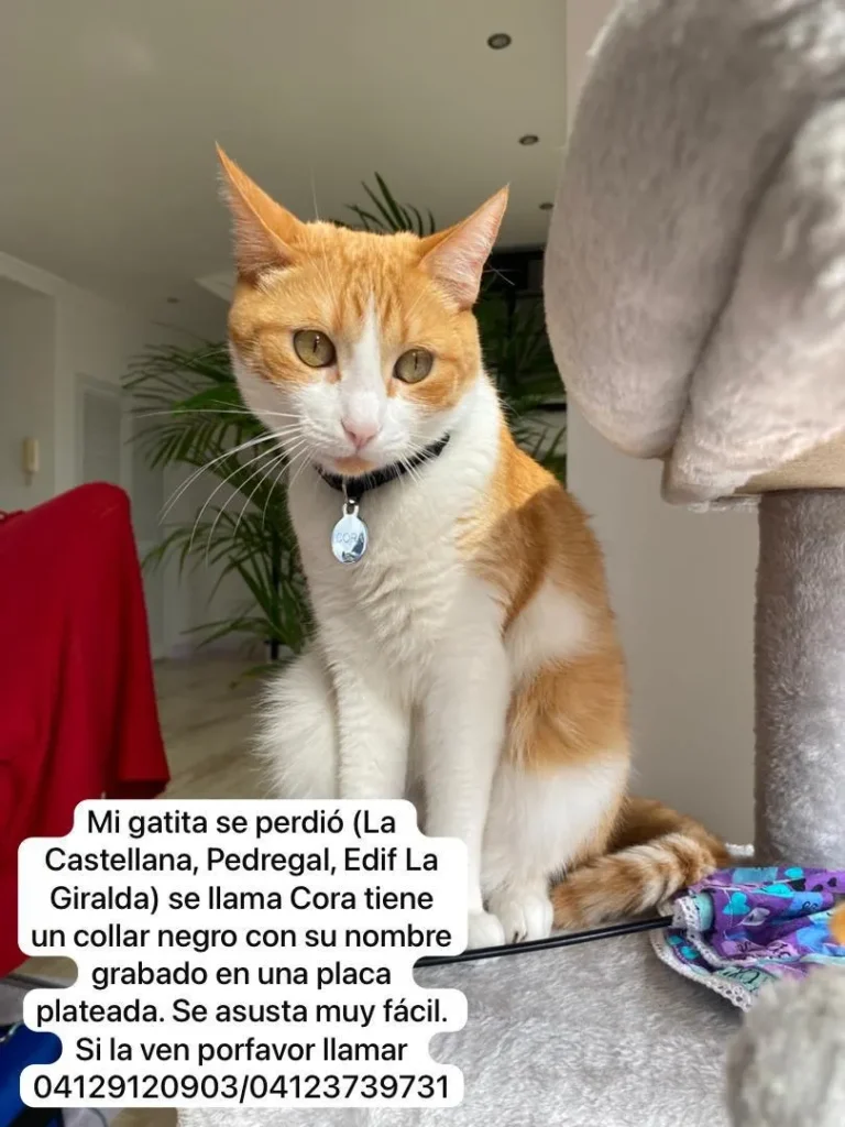 Cora
