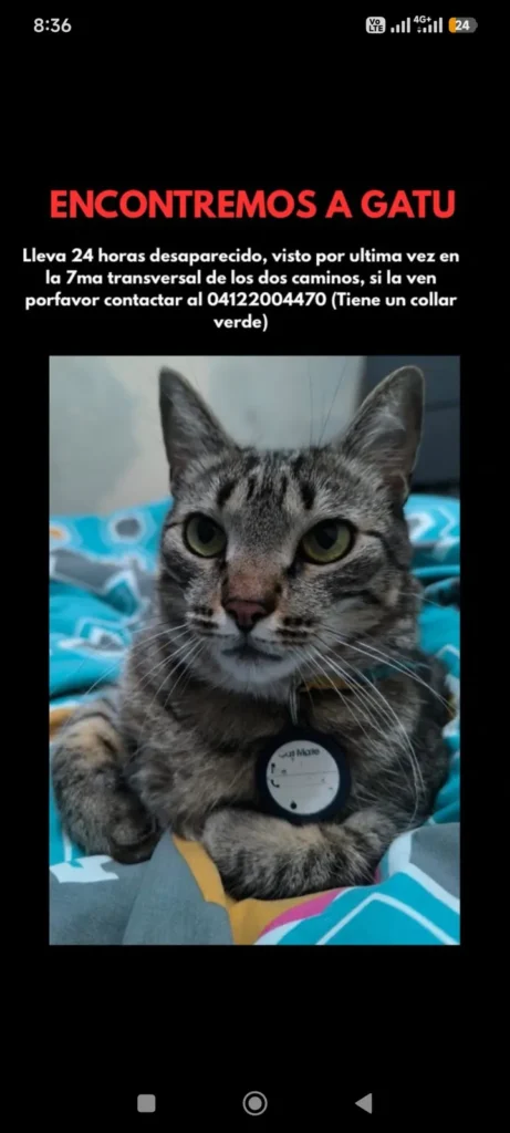 Gatu