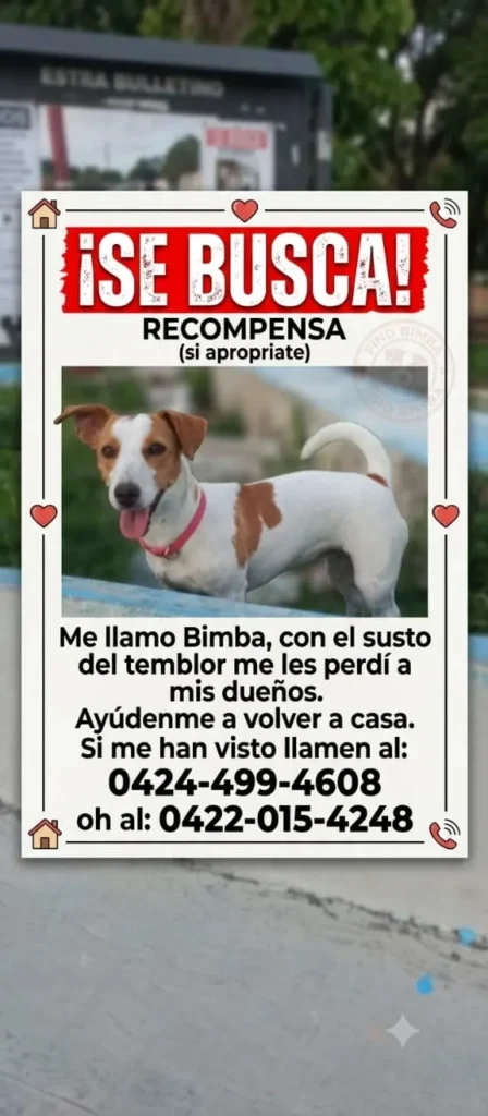 Bimba