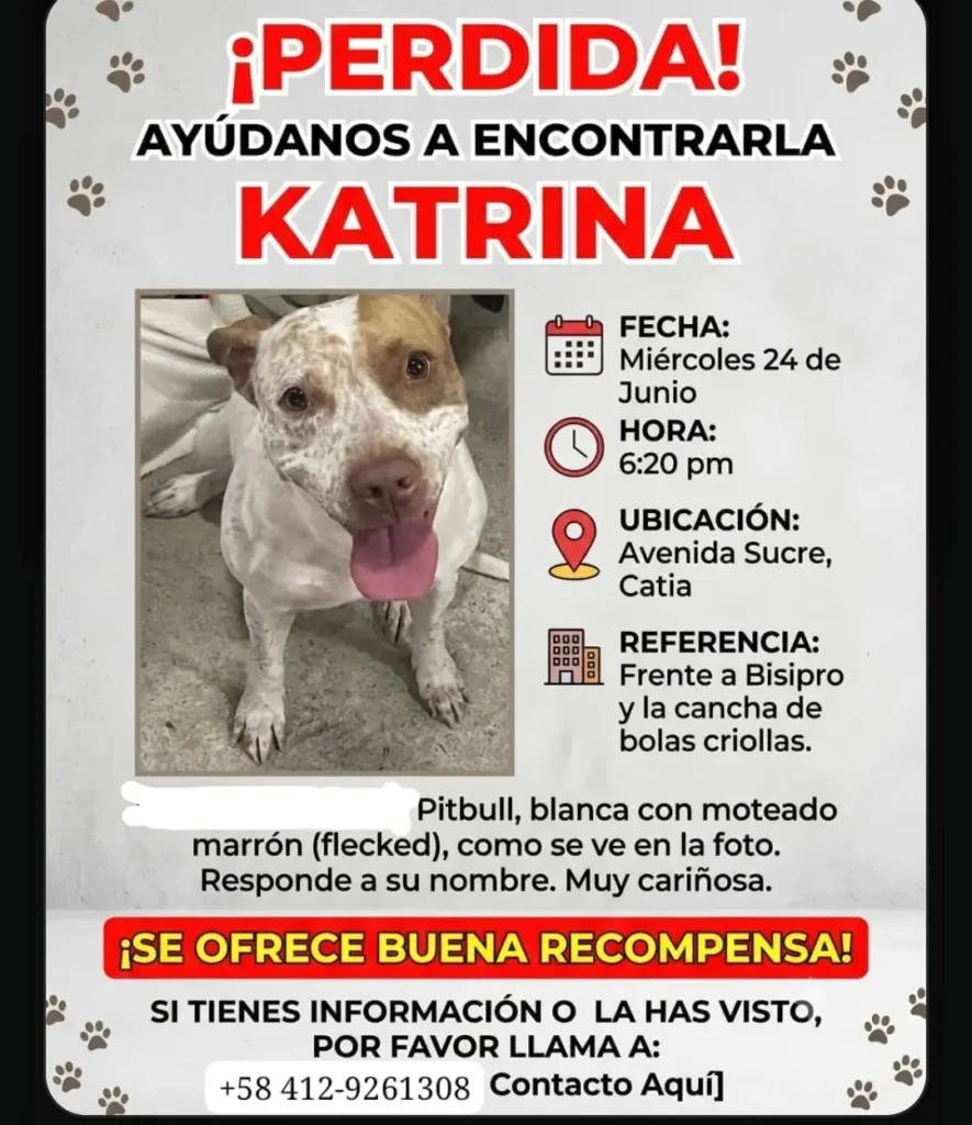 katrina