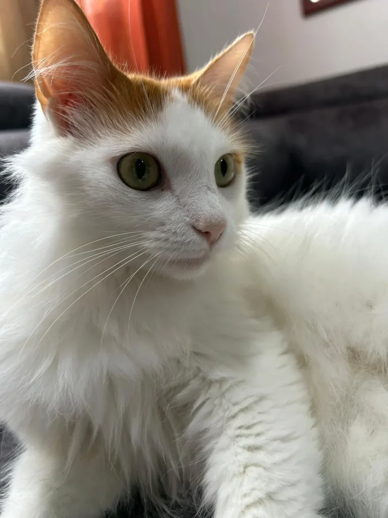 Nina, tambien puede ser llamada como nani o chiquita