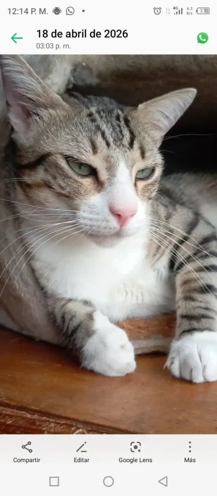 Romeo
