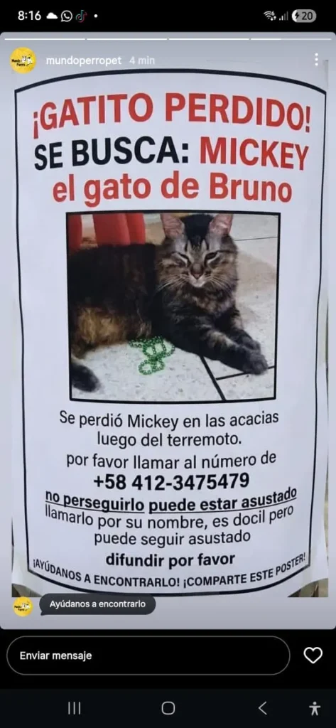 Mickey apodo tequechongo
