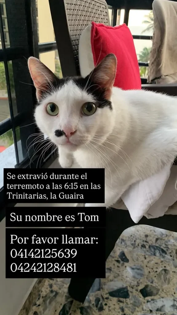 Tom