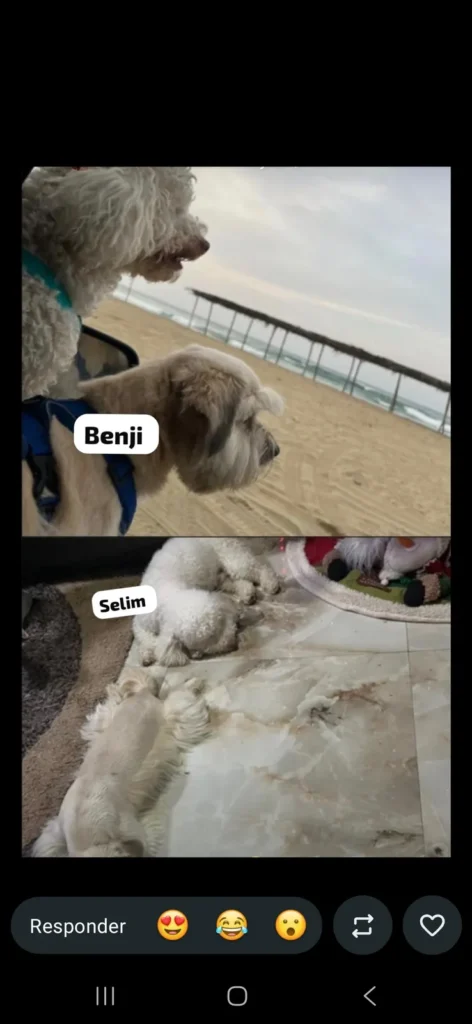 Selim y Benji