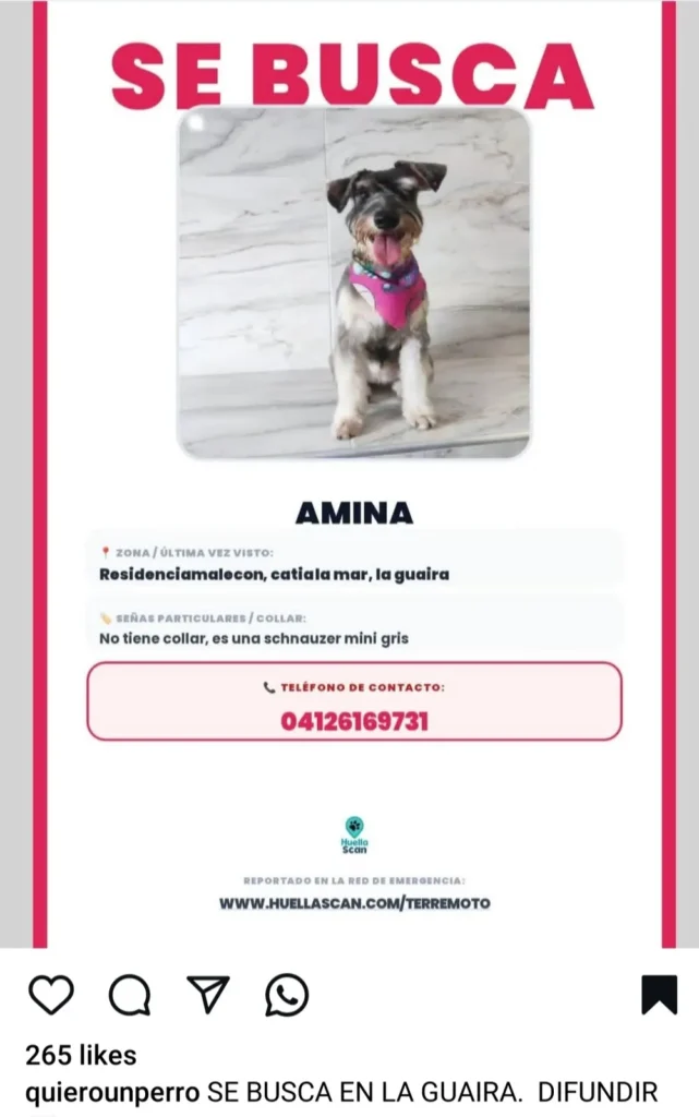 Amina