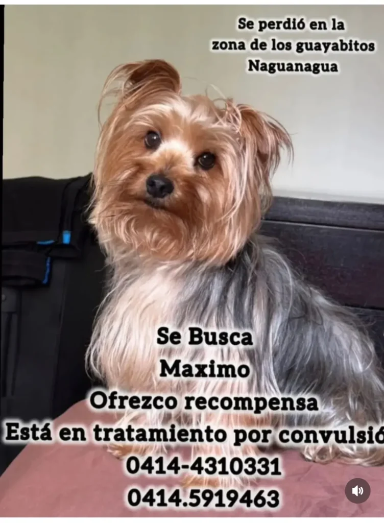 Maximo