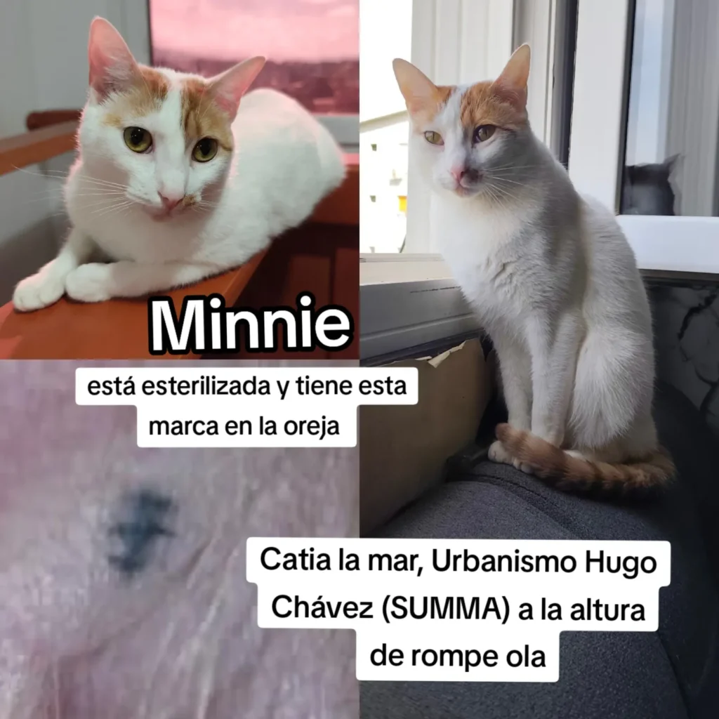 Minnie