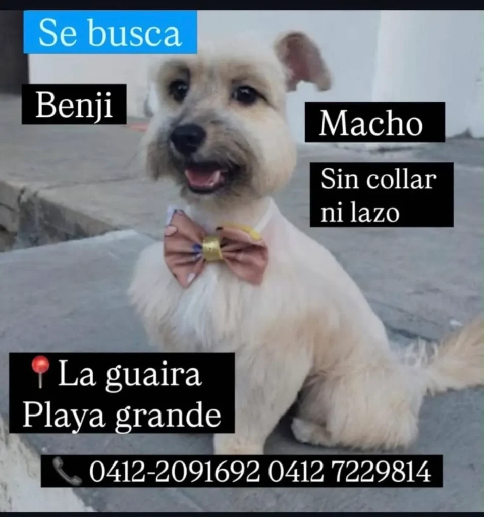 Benji