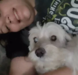 Perro perdido en La Guaira