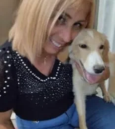 Perro Mestizo perdido en La Guaira