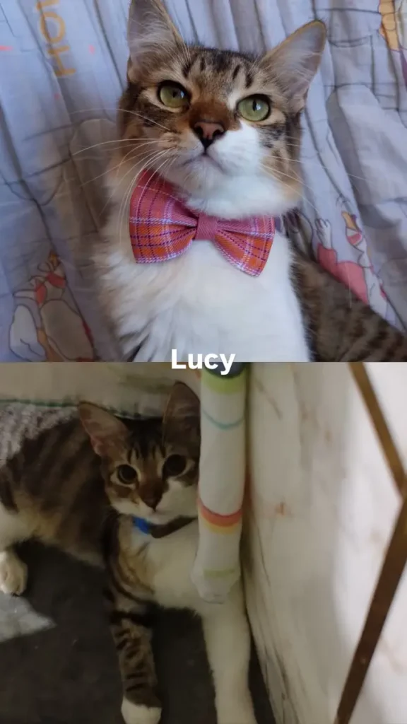 Lucy