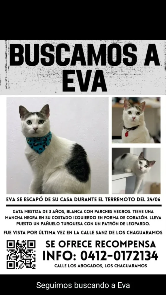Perro encontrado