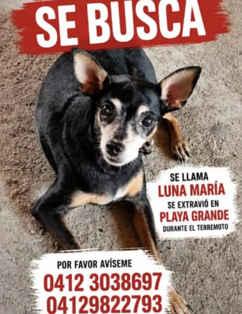 Luna María