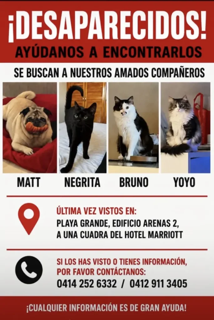 Jojo, Bruno, Mateo y la negra