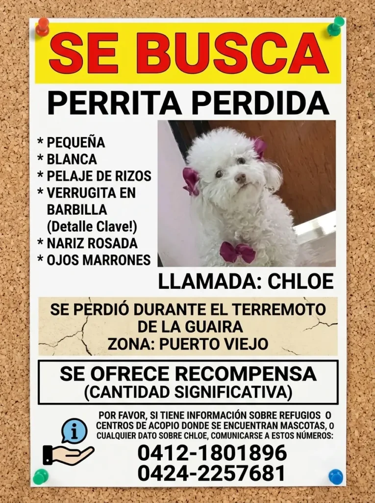 Chloe