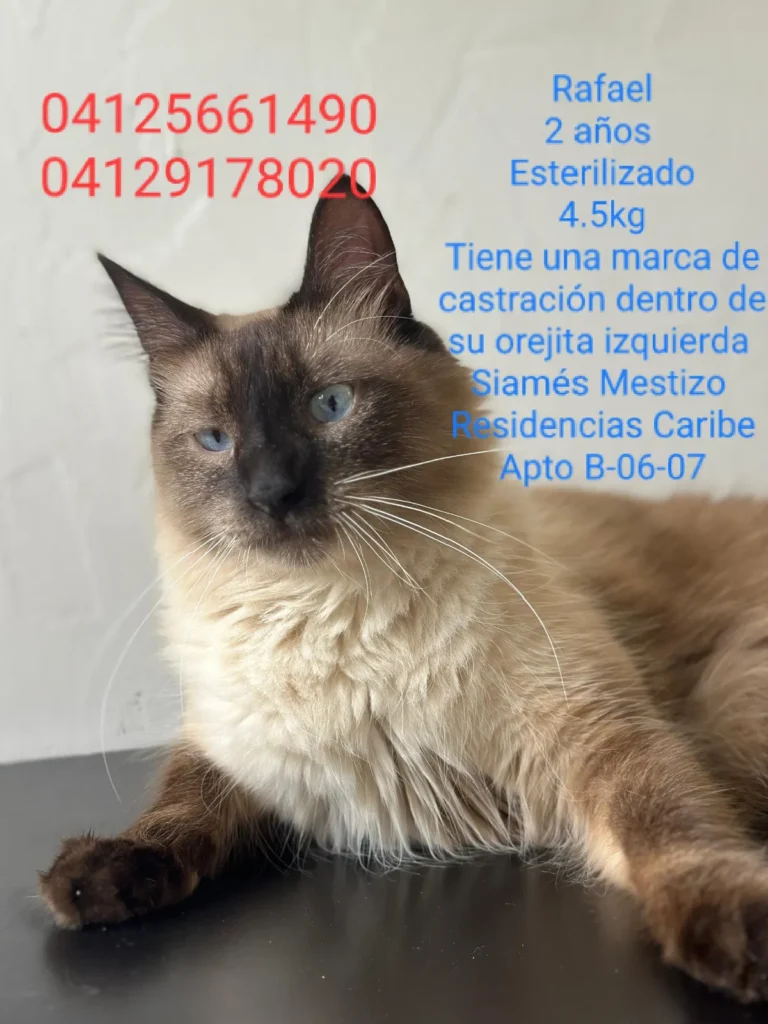 Rafael