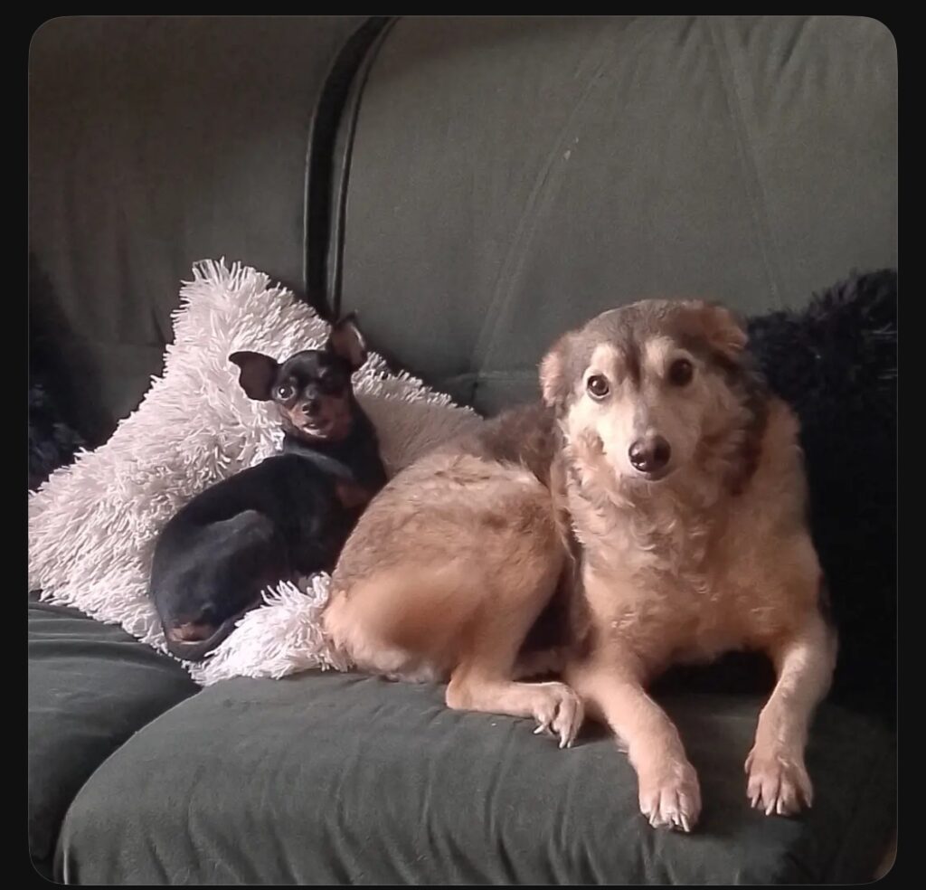 Ruzan y nuki