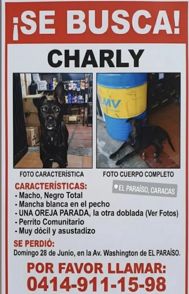 CHARLY