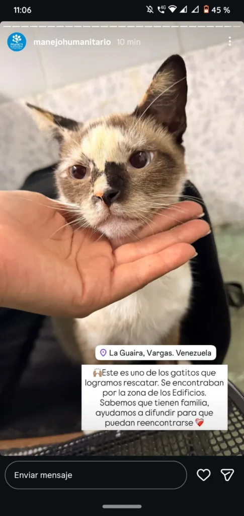 Perro encontrado