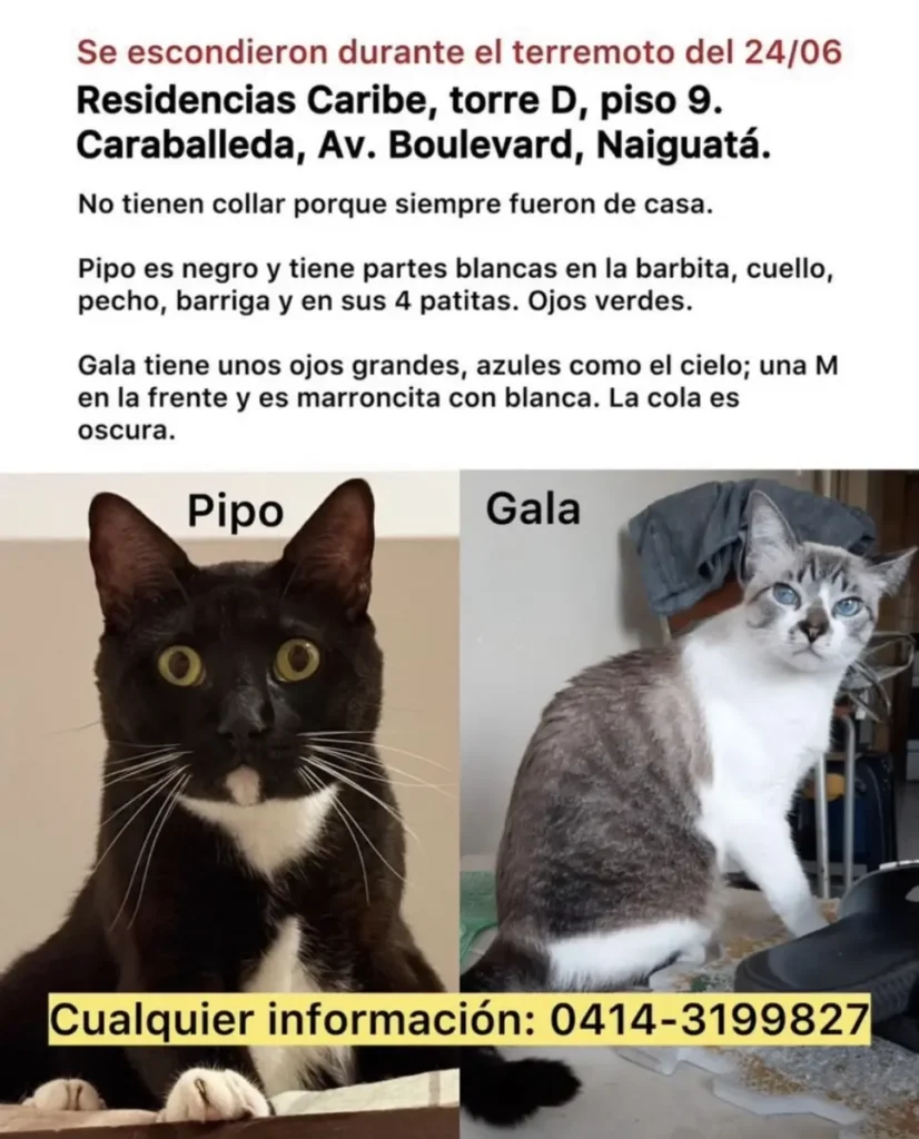Pipo y Gala