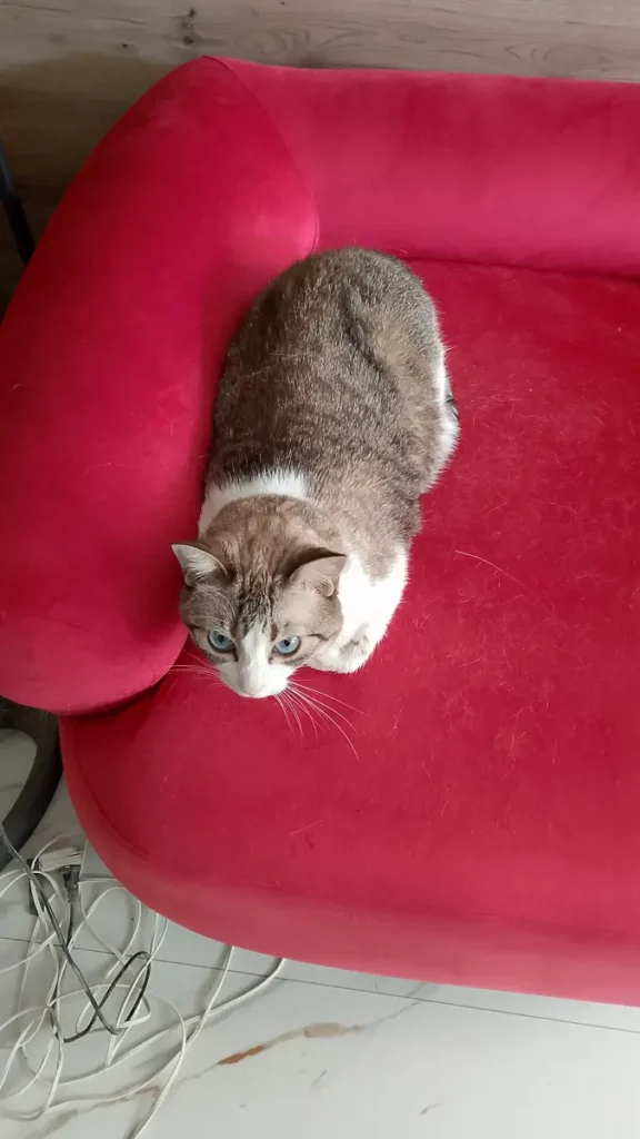 Luna