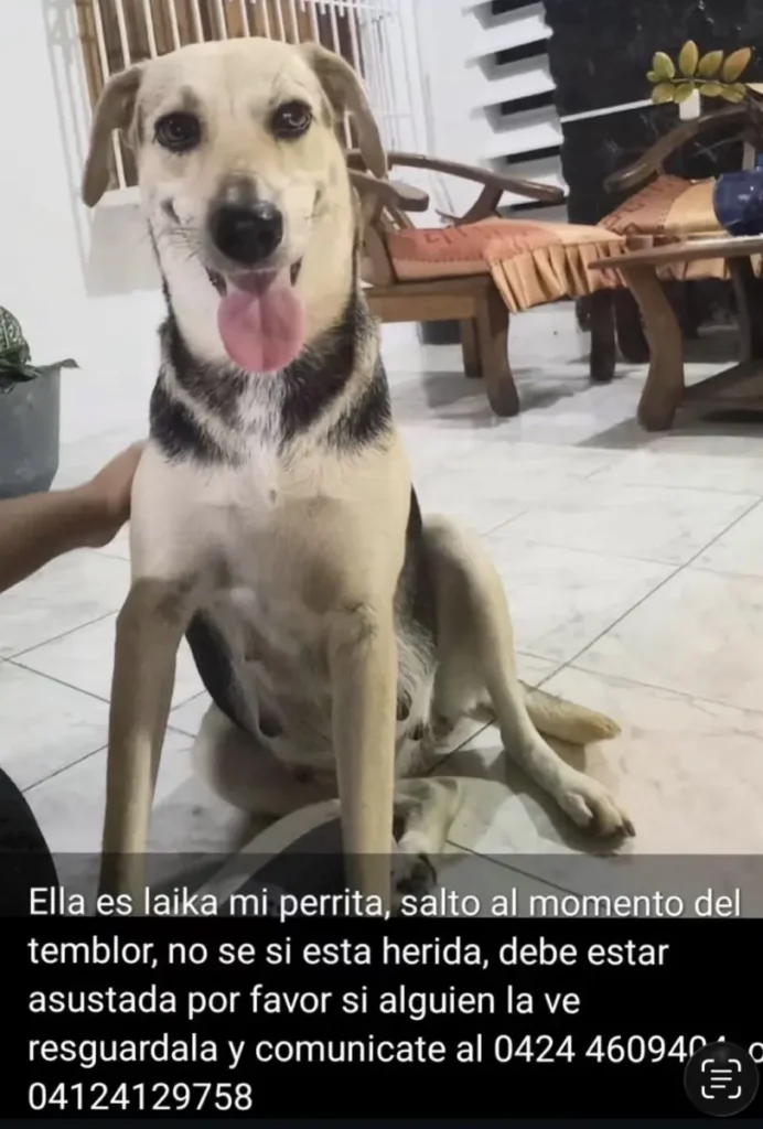 Laika