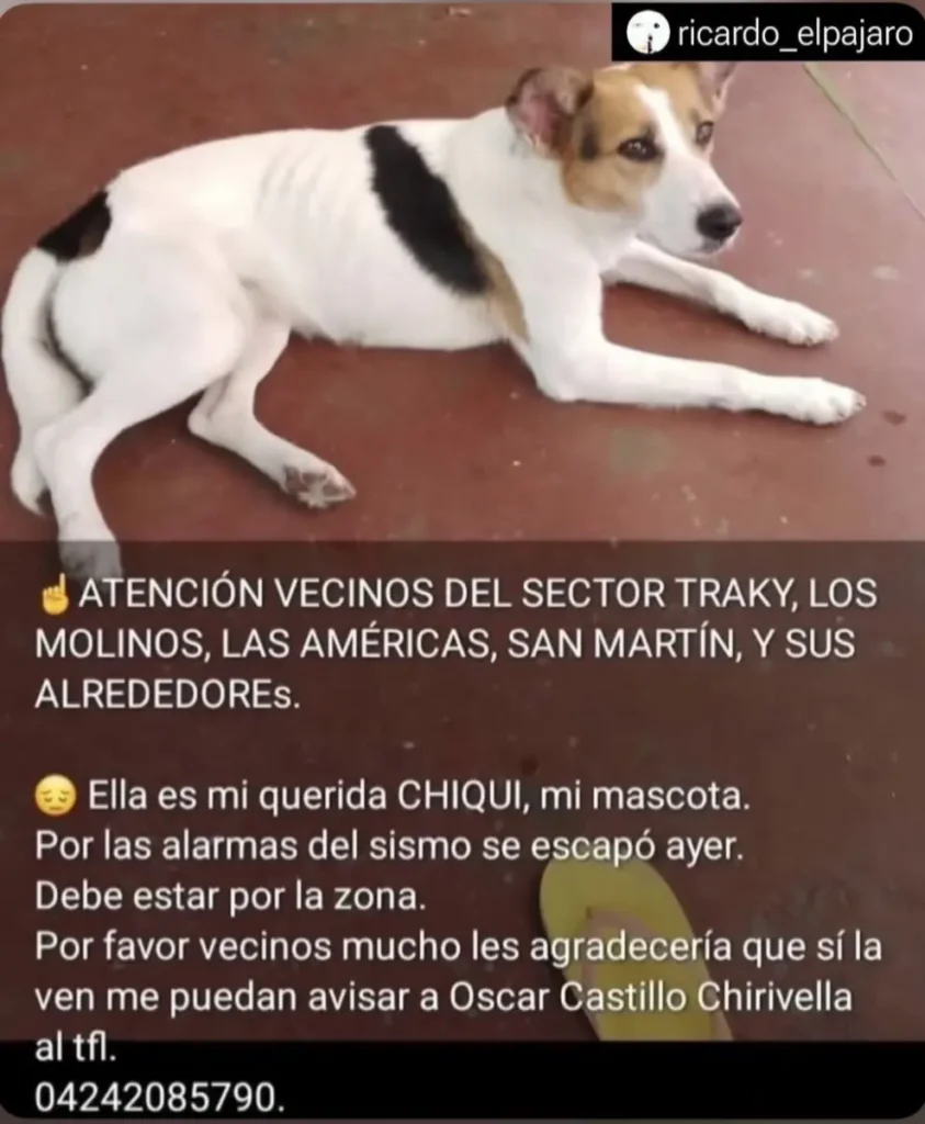 Chiqui