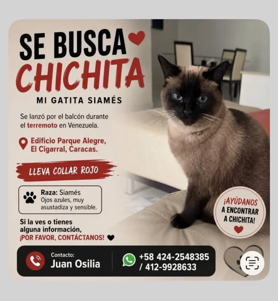 Chichita