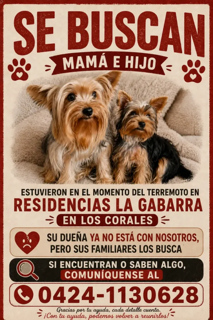 Roxy y heros