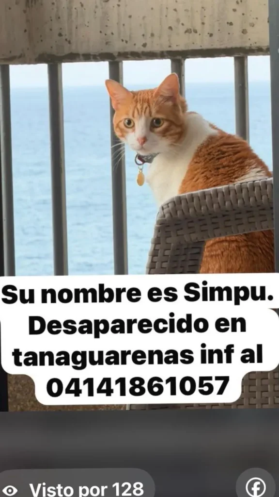 Simpu