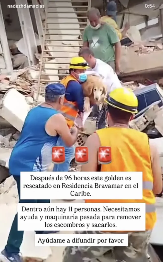 después de 96 horas