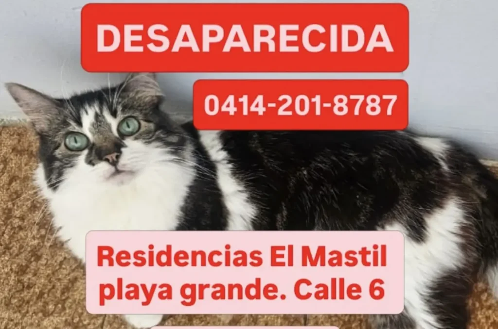 Desconicido