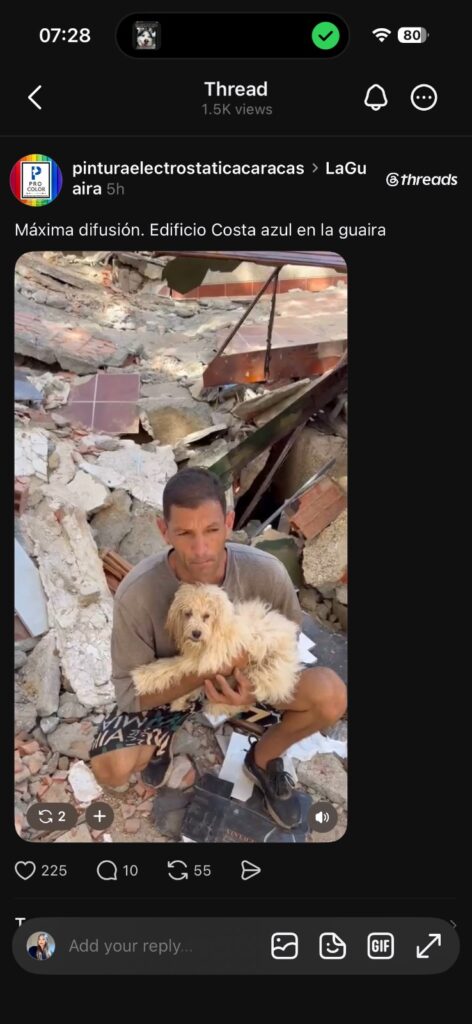 Perro encontrado