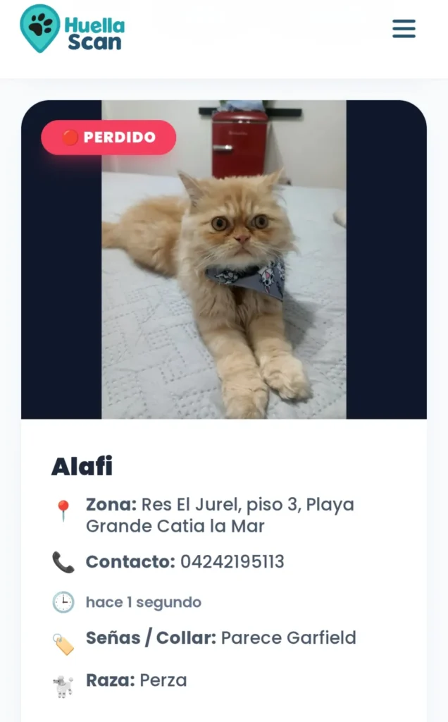 Alafi