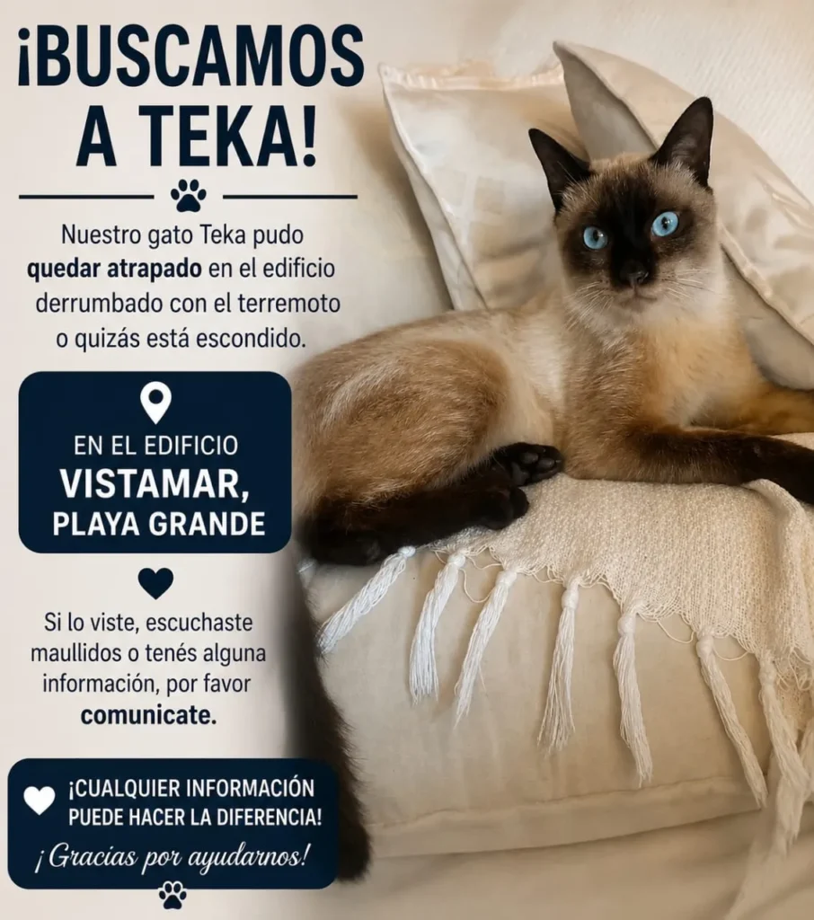Teka