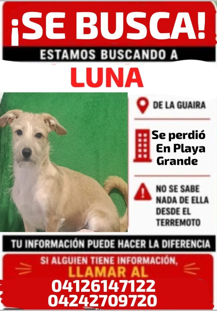 Amarilla, mediana ,cola larga