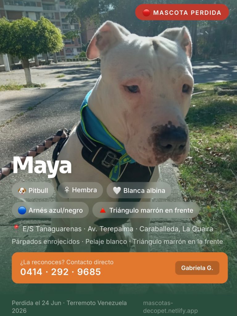 Maya