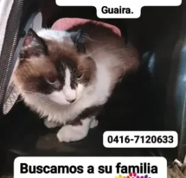 encontrado