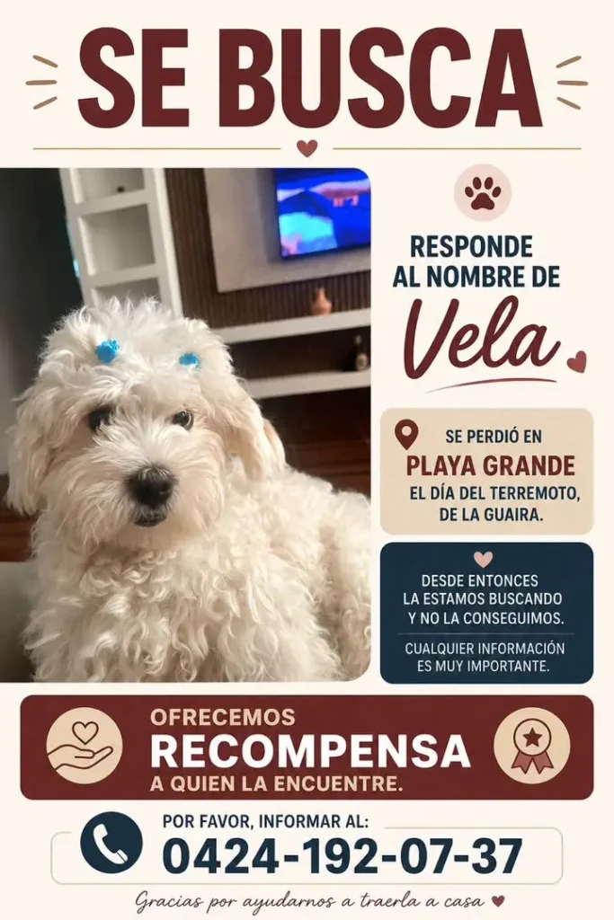 Vela