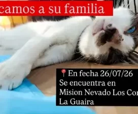encontrado