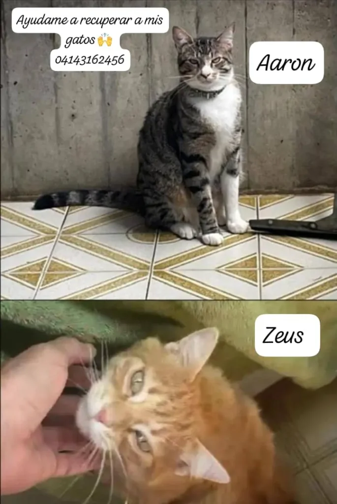 Aaron y zeus