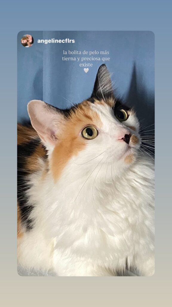Kira