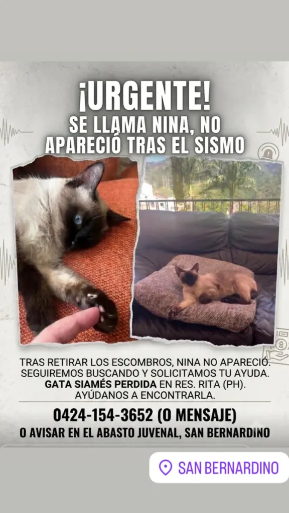 Nina
