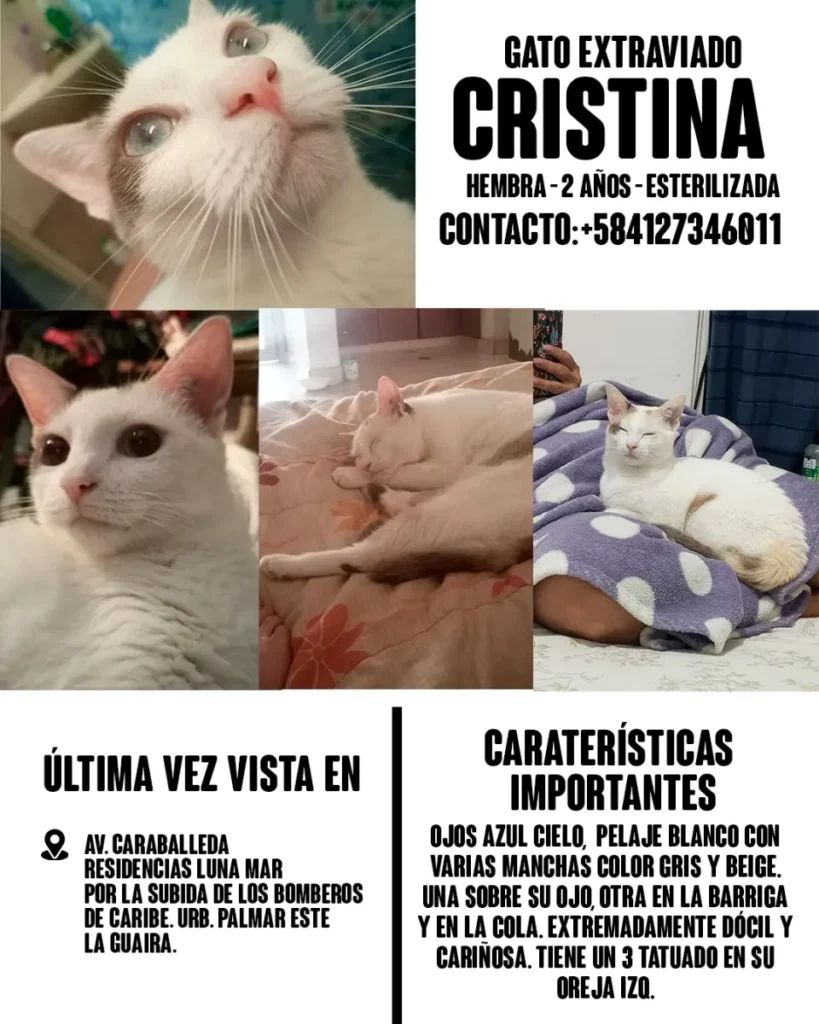 Cristina